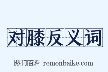对膝反义词是什么意思的图片